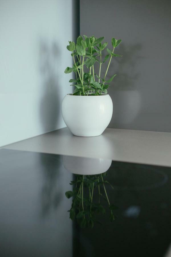 Maslina & Lavanda Podstrana Exterior photo